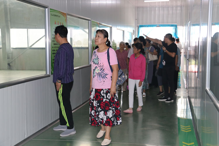 乳山三宝酵素首发仪式(图4)