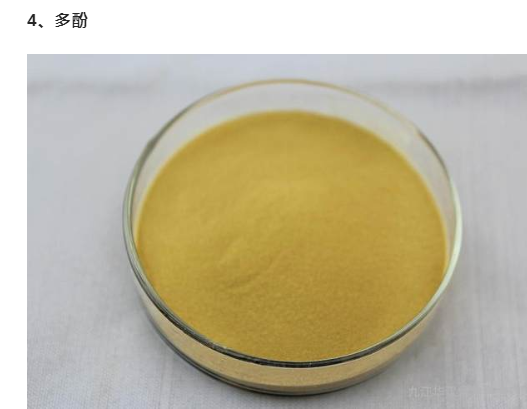 酵素食用价值(图4)